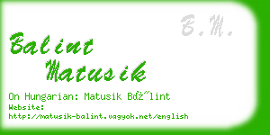 balint matusik business card